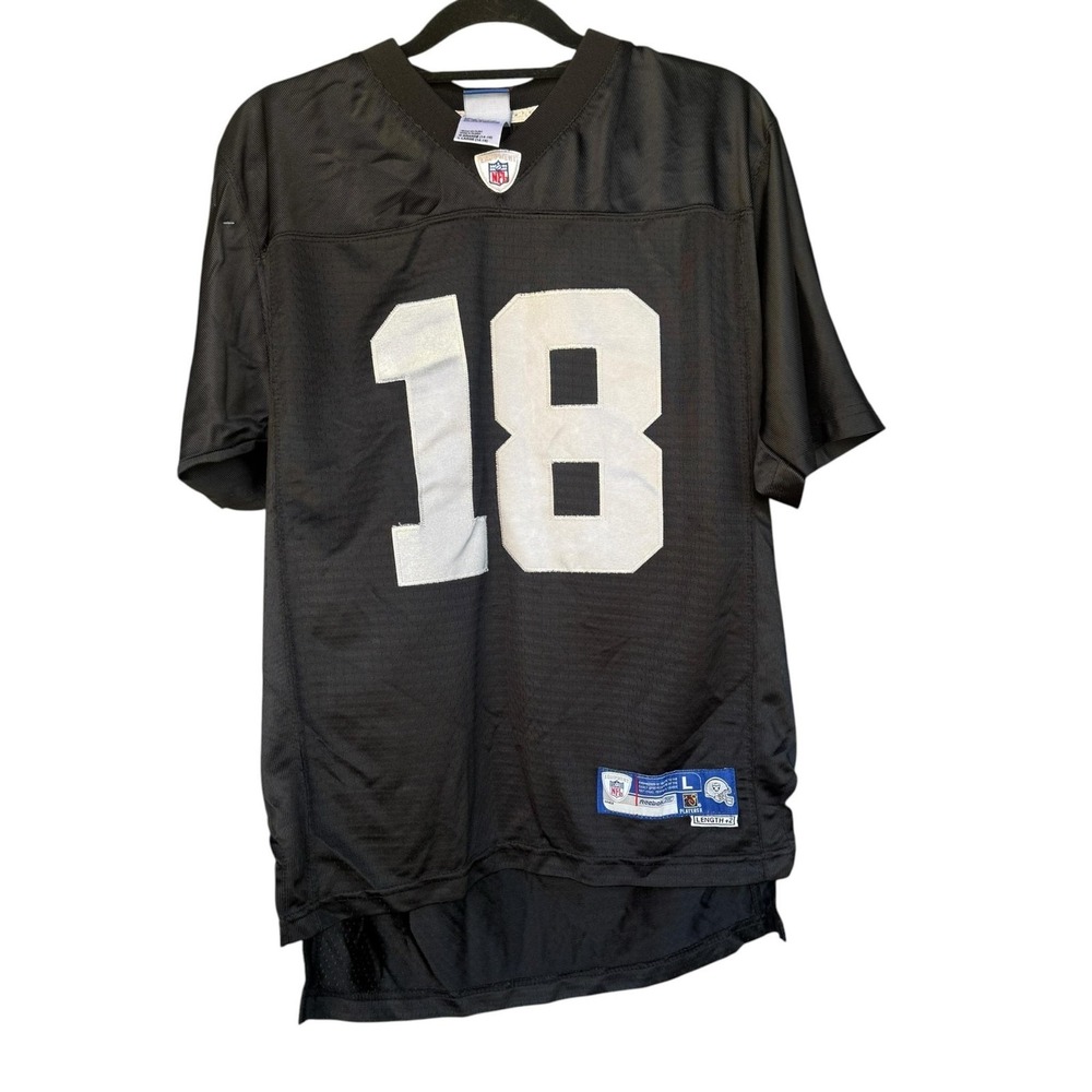 Oakland Raiders Jersey Unisex Large Black NFL Football Randy Moss 18 Reebok Mesh